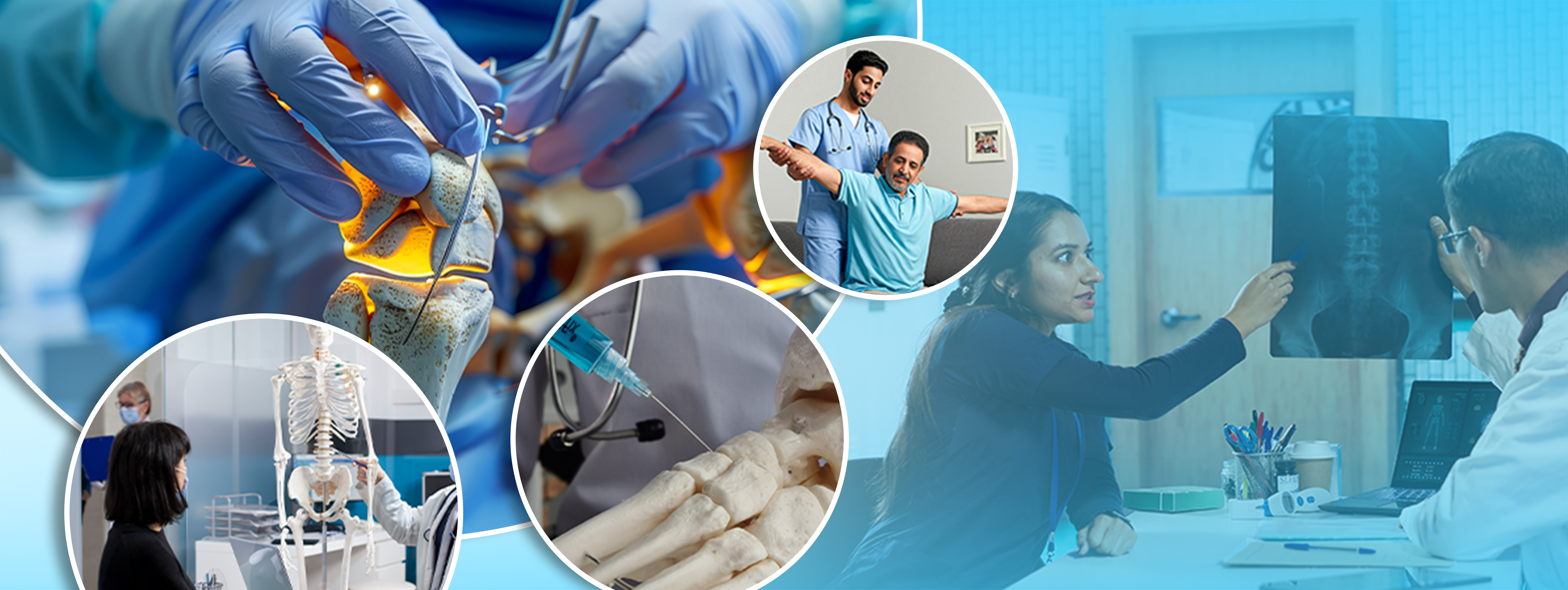 Orthopedic & Joint Replacement